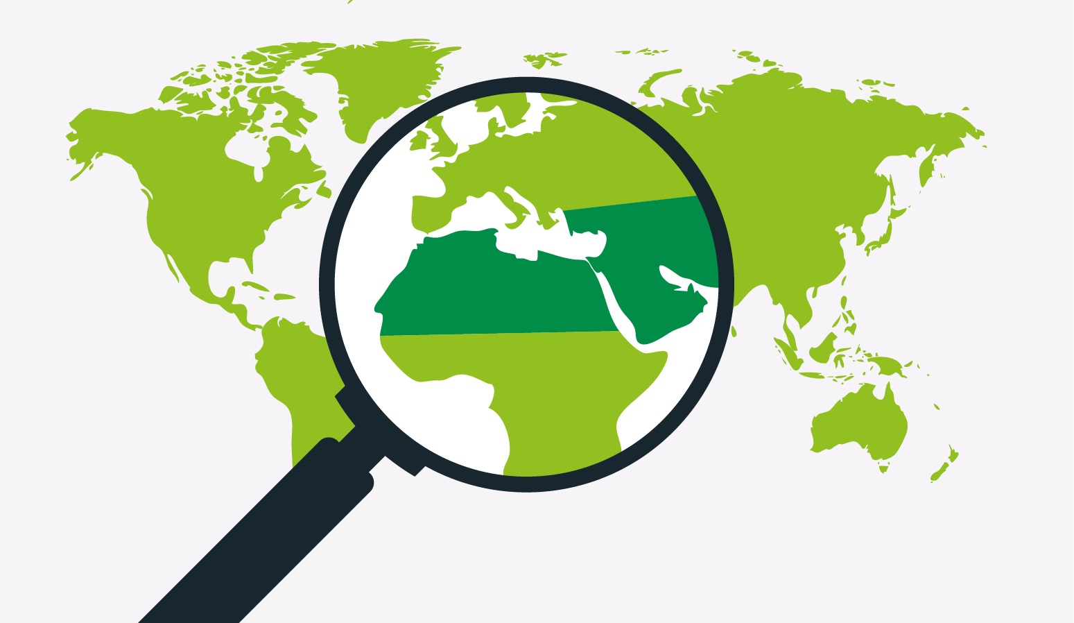 MENA REGION