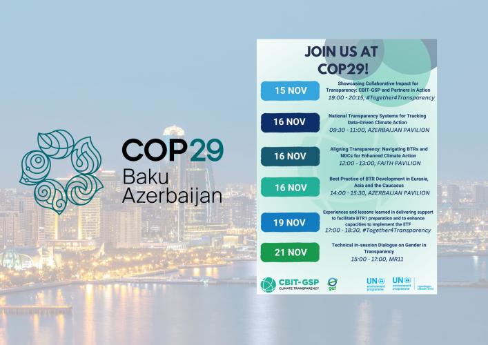 COP29 Flyer